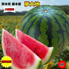 https://thumbnail.image.rakuten.co.jp/@0_mall/daiwaya-syunkaan/cabinet/watermelon/06804538/imgrc0085612780.jpg