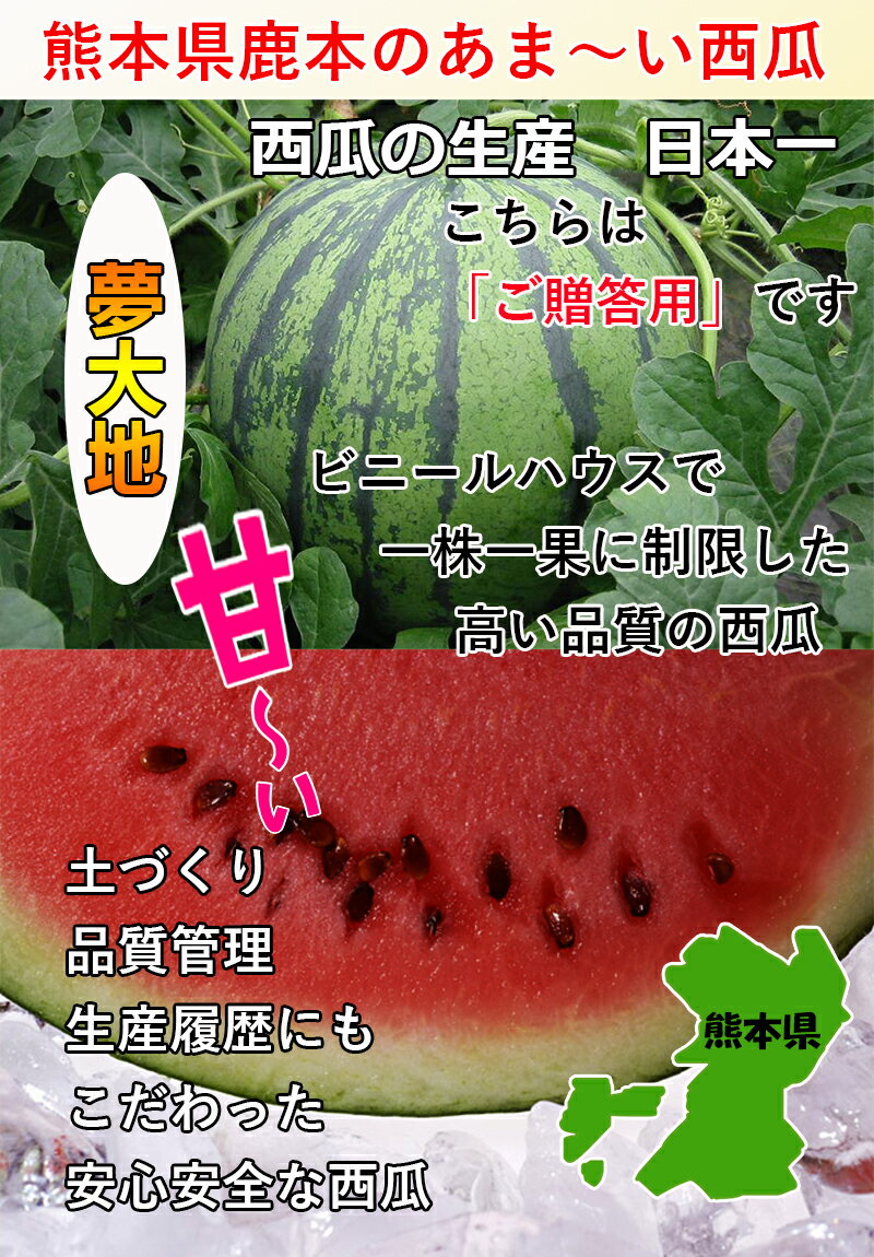 すいか スイカ 西瓜 熊本県 夢大地 秀品 2Lサイズ 7kg 糖度光センサー検査済み 送料無料 糖度保証 父の日 ギフト 2