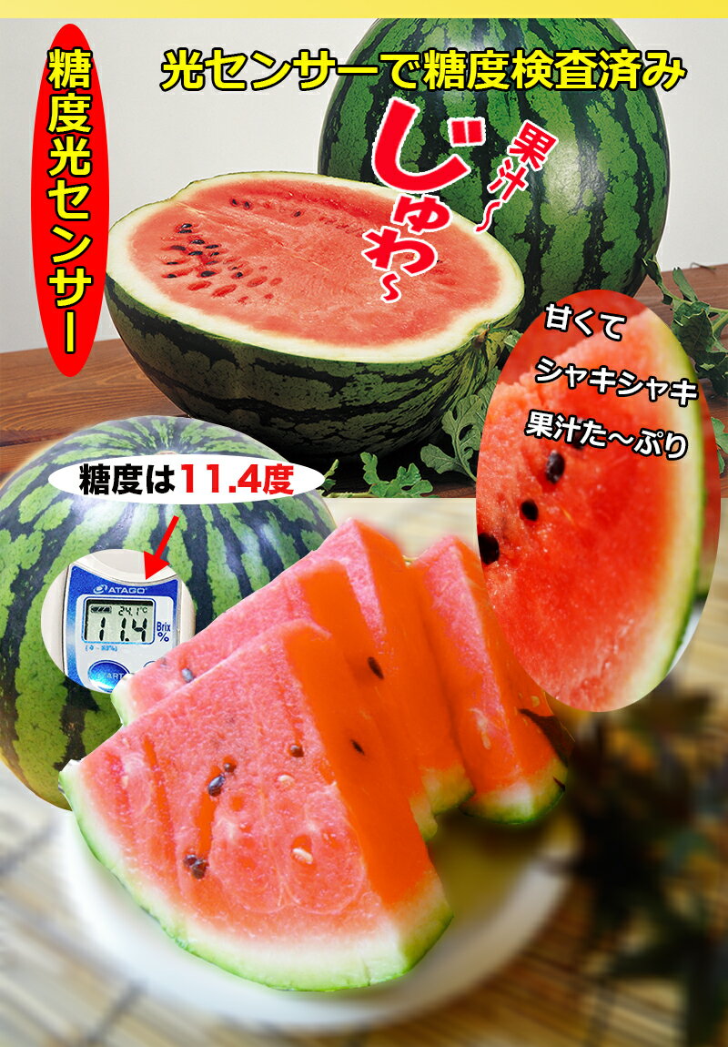 アプリコット缶 #2 (825g) あんず 缶詰　| デザート ドルチェ タルト 製菓 パン などに 業務用 たっぷり 大容量