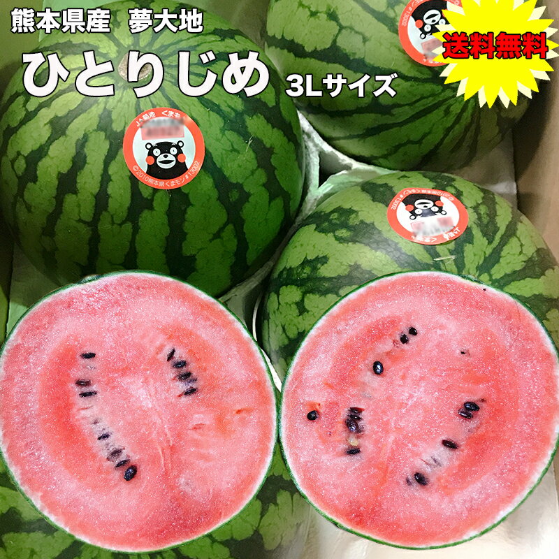 すいか スイカ 熊本 夢大地 ひとりじめ 西瓜 3Lサイズ 1玉 2.5kg 光糖度センサー検査済 糖度保証 送料無料 小玉西瓜 お中元 ギフト