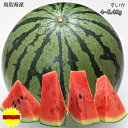 すいか スイカ 訳あり 鳥取県産 西瓜 4kg~5.4Kg ご家庭用 送料無料 鳥取県 西瓜 すいか 大玉 西瓜 ギフト お中元