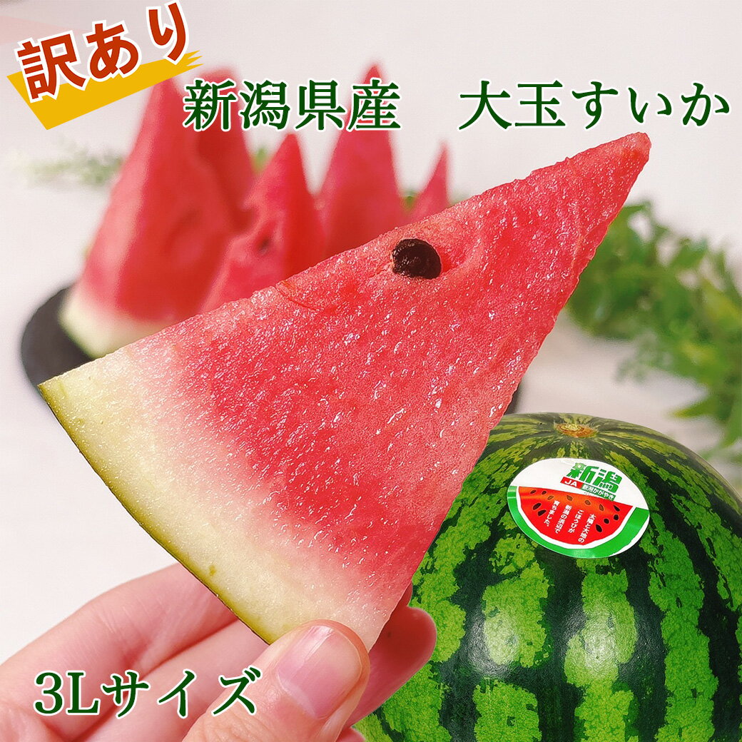 すいか スイカ 訳あり 新潟県産 西瓜 3Lサイズ 8kg以上 JAの正規品 ご家庭用 送料無料 新潟県 西瓜 すいか 大玉 西瓜