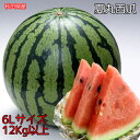 すいか スイカ 秋田県産 夏丸 秀クラス 西瓜 6Lサイズ 12kg 常温便 送料無料 お試し 秋田県 西瓜 すいか あきた夏丸 大玉 西瓜 ギフト お中元 クール便送料必要