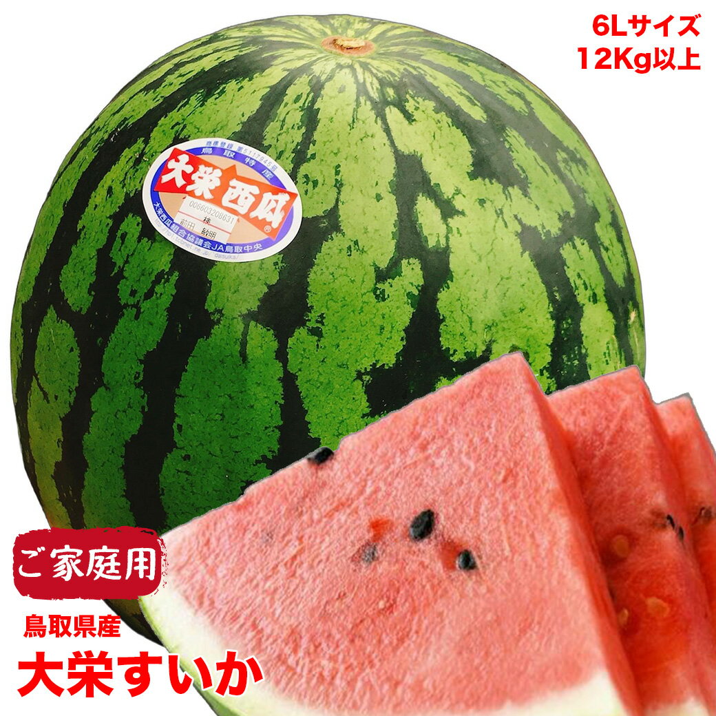 すいか スイカ 訳あり 鳥取県産 大栄西瓜 6Lサイズ 12kg以上 ご家庭用 送料無料 鳥取県 西瓜 大栄 すいか 大玉 西瓜 ギフト お中元のサムネイル