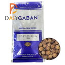 ギャバン GABAN コリアンダー ホール 100g ×1個