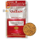 ギャバン GABAN ケイジャンシーズニング 100g ×1個＼着後レビューでプレゼント有！／