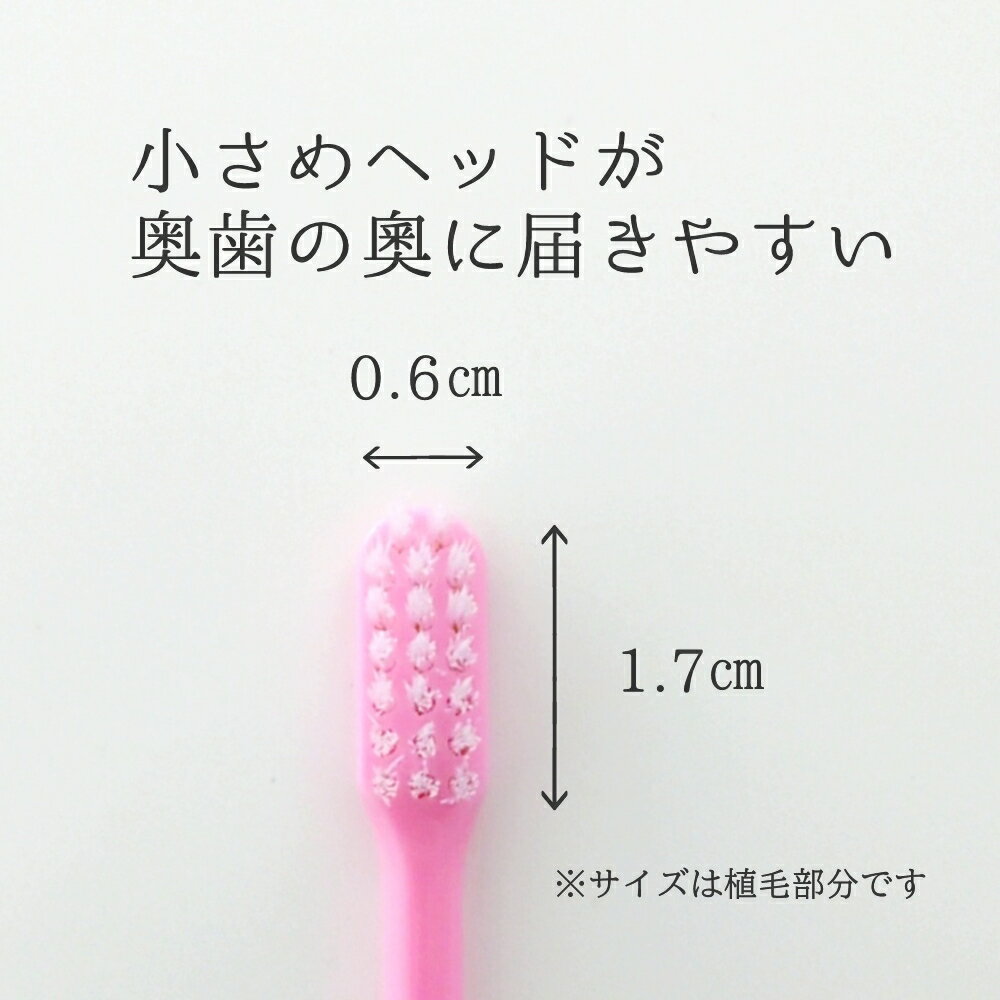 スリッピ 国産歯ブラシ 超コンパクト ミディア...の紹介画像2
