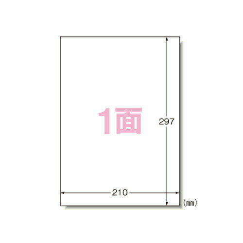 エーワン コピー ラベル A4 ノーカット 100シート 28196