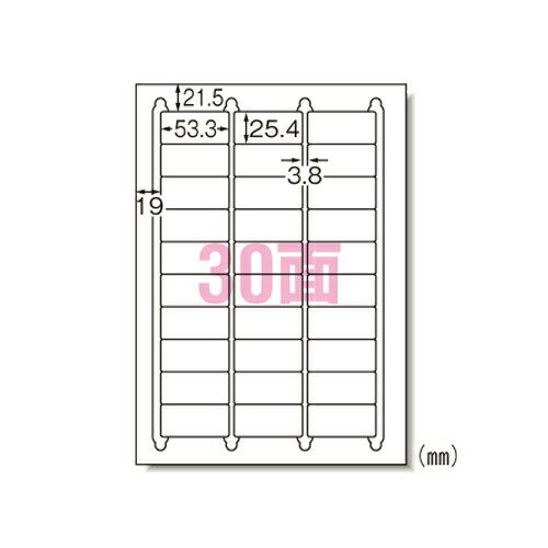 エーワン ラベルシール インクジェット A4 30面 100シート 29192＼着後レビューでプレゼント有！／