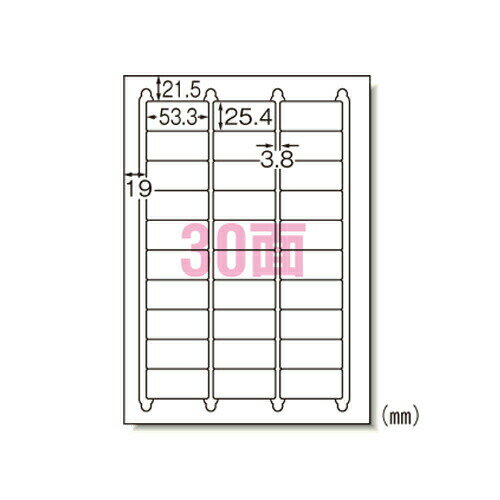 エーワン ラベルシール A4 30面 100シート 28455＼着後レビューでプレゼント有！／