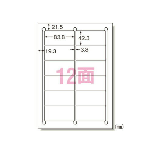 エーワン マルチプリンタラベル A4 12面 再剥離 100シート 31175＼着後レビューでプレゼント有！／