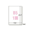 エーワン ラベルシール B5 ノーカット 100シート 28421
