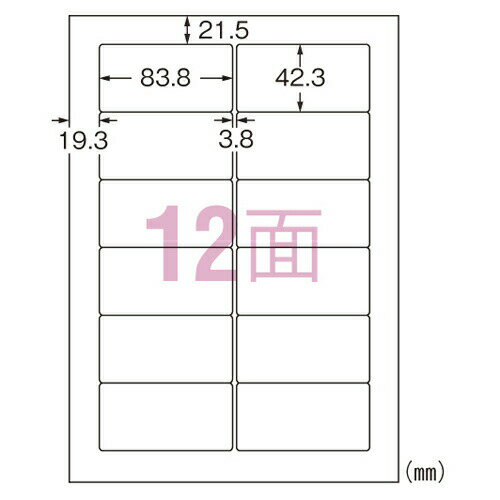 エーワン ラベルシール インクジェット 超耐水タイプ 光沢紙 A4判 12面 10シート 64212＼着後レビューでプレゼント有！／