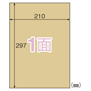 ヒサゴ クラフト紙ラベル ライトブラウン 茶封筒用 A4 ノーカット 20枚入 OPC862 ラベル ラベルシール＼着後レビューでプレゼント有！／