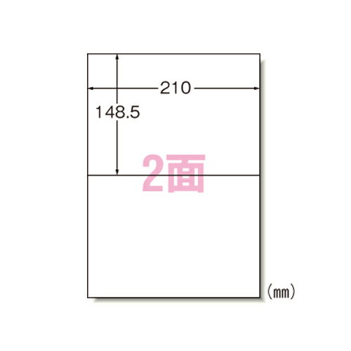 エーワン ラベルシール レーザー A4 2面 100シート 66202