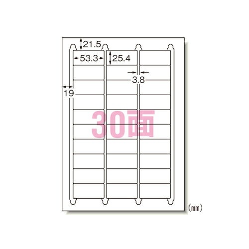 エーワン マルチプリンタラベル A4 30面 再剥離 100シート 31260＼着後レビューでプレゼント有！／