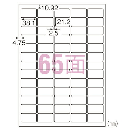 エーワン ラベルシール インクジェット 超耐水タイプ マット紙 A4判 65面 20シート 62265＼着後レビューでプレゼント有！／