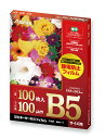 アスカ ラミ専用フィルム B5サイズ用 F1025