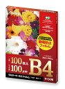 アスカ ラミ専用フィルム B4サイズ用 F1027