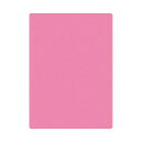 共栄プラスチック 色物下敷 B5 ピンク NO.850-P