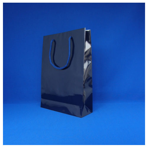 ���⥸�� �֥饤�ȥХå� SWT �纰 ��1�� 006138223