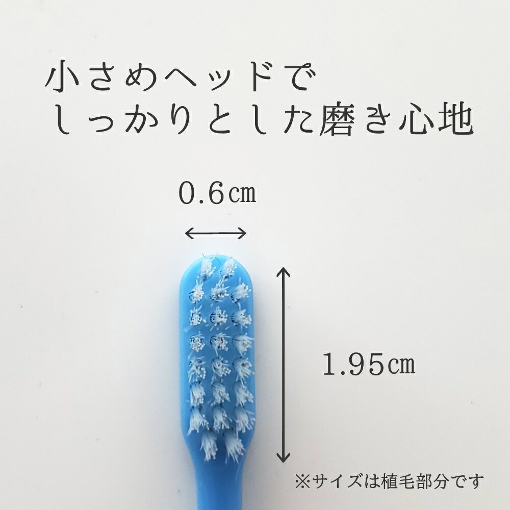 スリッピ 国産歯ブラシ コンパクト ミディアム...の紹介画像2