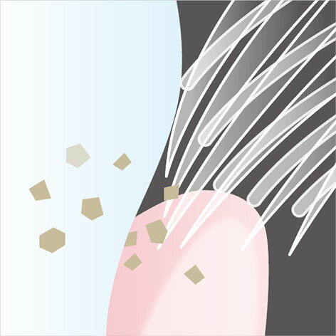 スリッピ 国産歯ブラシ コンパクト ミディアム...の紹介画像3