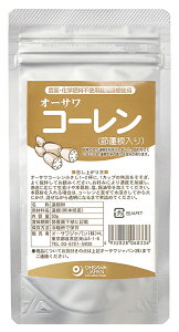 オーサワコーレン(節蓮根入り) 50g ×1個【着後レビューでプレゼント有！】