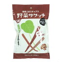 野菜サクッチ 国産ごぼうチップス 19g ×1個