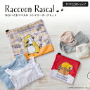 ★数量限定 30 OFF★【2枚セット】 ラスカル公式グッズ ラスカル45th記念 洗える収納ポーチ 持ち運び あらいぐまラスカル クラシックデザイン 洗濯ネット ギフト 便利グッズ かわいい 小物入れ キャラクター 衣類収納 ランドリーネット 旅行 ランドリーポーチセット