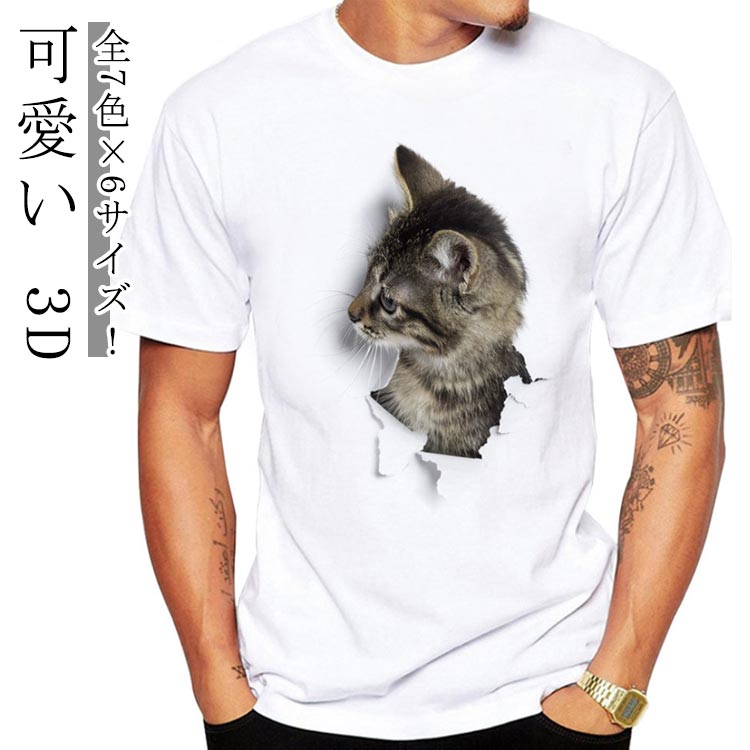 �İ��� 3D �İ��� ���T����� �� Ⱦµ 3D ��� ���⤷�� ���� ��� �ͤ� ��ǥ�����T����� ���襤��