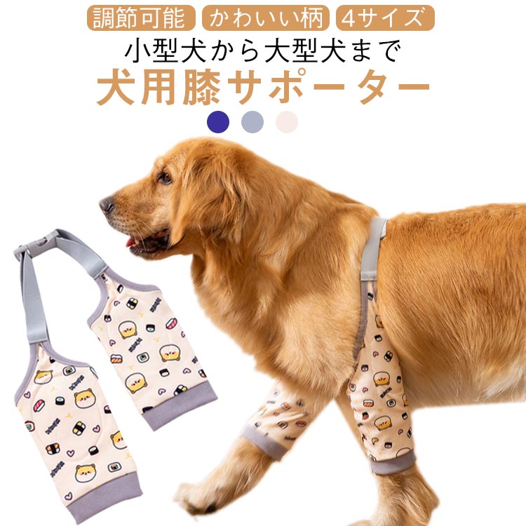 Ϸ����� �� ���Ѵ���ץ��ƥ����� �� �� �Ѹ��ݸ� ����ɨ���ݡ����� �� ���ݡ����� �� ­���С� ��ϥӥ� ��­ �ץ��ƥ����� ����� ...