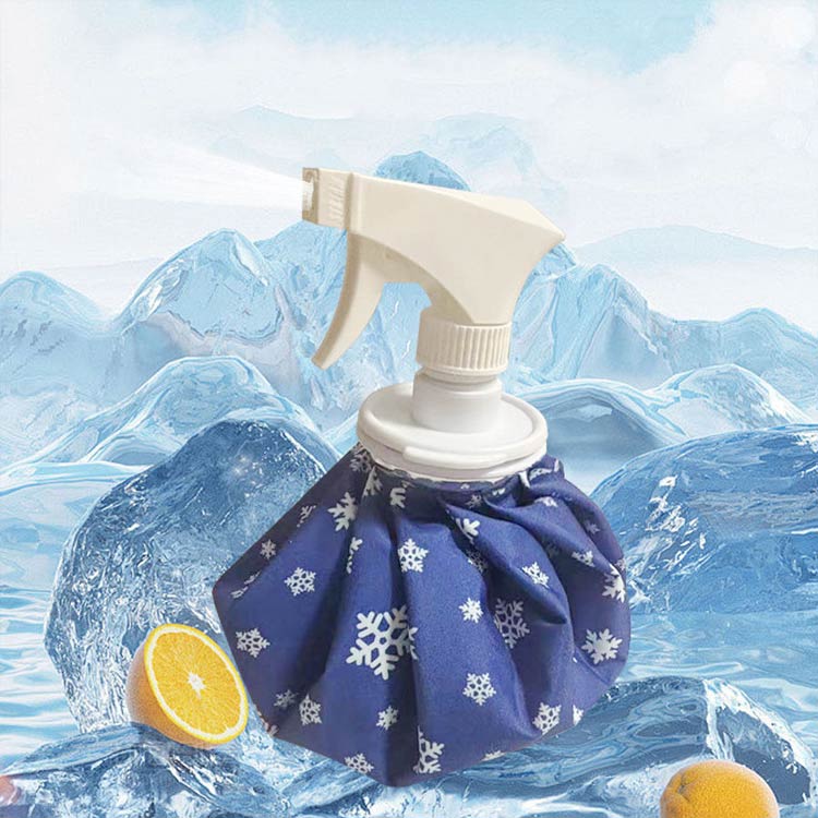 スプレー付き 2way総柄アイスバッグ 2個セット 大きめ 氷嚢 アイシング 9インチ ス...