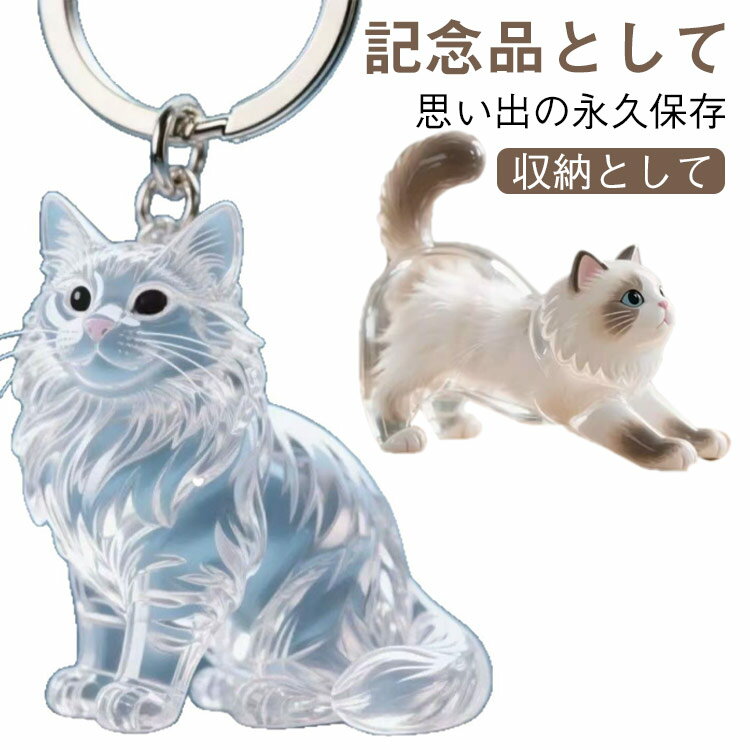 Ʃ�����ץ��� �����ۥ���� �����ۥ���� Ʃ�� 2�ĥ��å� �������� ǭ�Ӷ����� �ڥå� 2�ĥ��å� ǭ�Ӽ�Ǽ�ܥå��� ǭ�� ������ �Ӥ��ݴɤ���ܥȥ� ���� ...