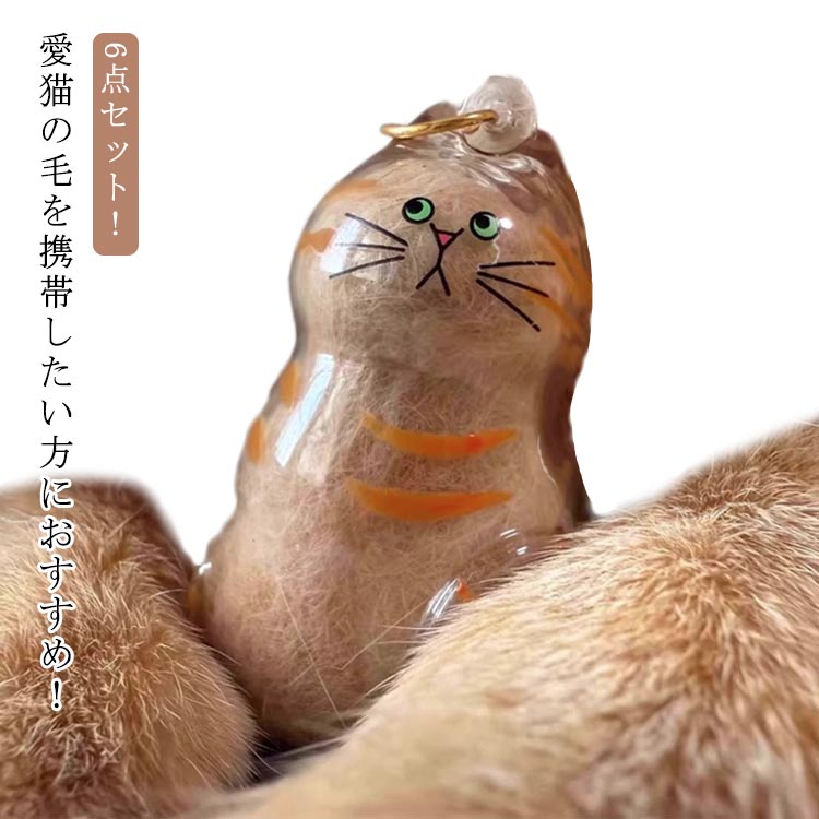 6個セット 透明 ペット ケース 猫のキーホルダー 毛を保管するボトル 遺毛入れ 猫の毛収納ボトル ペッ..