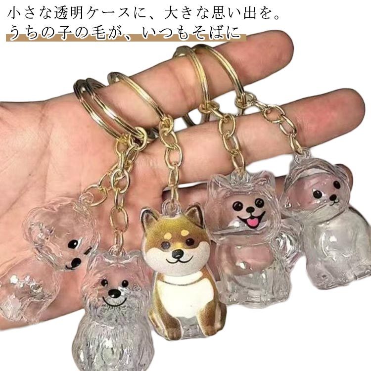 ��¸�ܥȥ� ��ǰ Ʃ�� ������ �����ۥ���� �� �� �ڥå��� ������� ���ꥢ�륰�å� �Ӷ� ���ե� ���������꡼ ���ꥢ�� �Ӥ� ������ �פ��Х��å� ...