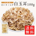 ʖ؎ 炰 100g  󏭕i AQLNQ ؎ ؎ 炰 Ɩp