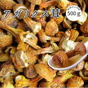 アガリクス茸 アガリクス 500g 乾燥 姬松茸 ヒメマツタケ 業務用 中国産