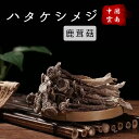 ハタケシメジ 100g 乾燥 しめじ茸 鹿茸 きのこ 自然の恵キノコ 椎茸 しいたけ 和風料理