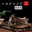ハタケシメジ 100g しめじ茸 鹿茸 きのこ 自然の恵キノコ 椎茸 しいたけ 和風料理 1,480円