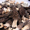 乾燥 アミガサタケ モリーユ茸(アミガサ茸) 10g 約8本~10本 ドライモリーユ キノコ モリーユ 羊肚菌 Morchella esculenta Mori...