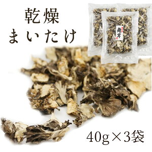 国産 舞茸 40g*3袋セット きのこ 乾燥舞茸 乾燥きのこ ドライきのこ