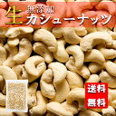 カシューナッツ 生 500g 無塩 無添加 保存食 非常食 腰果 ナッツ 送料無料