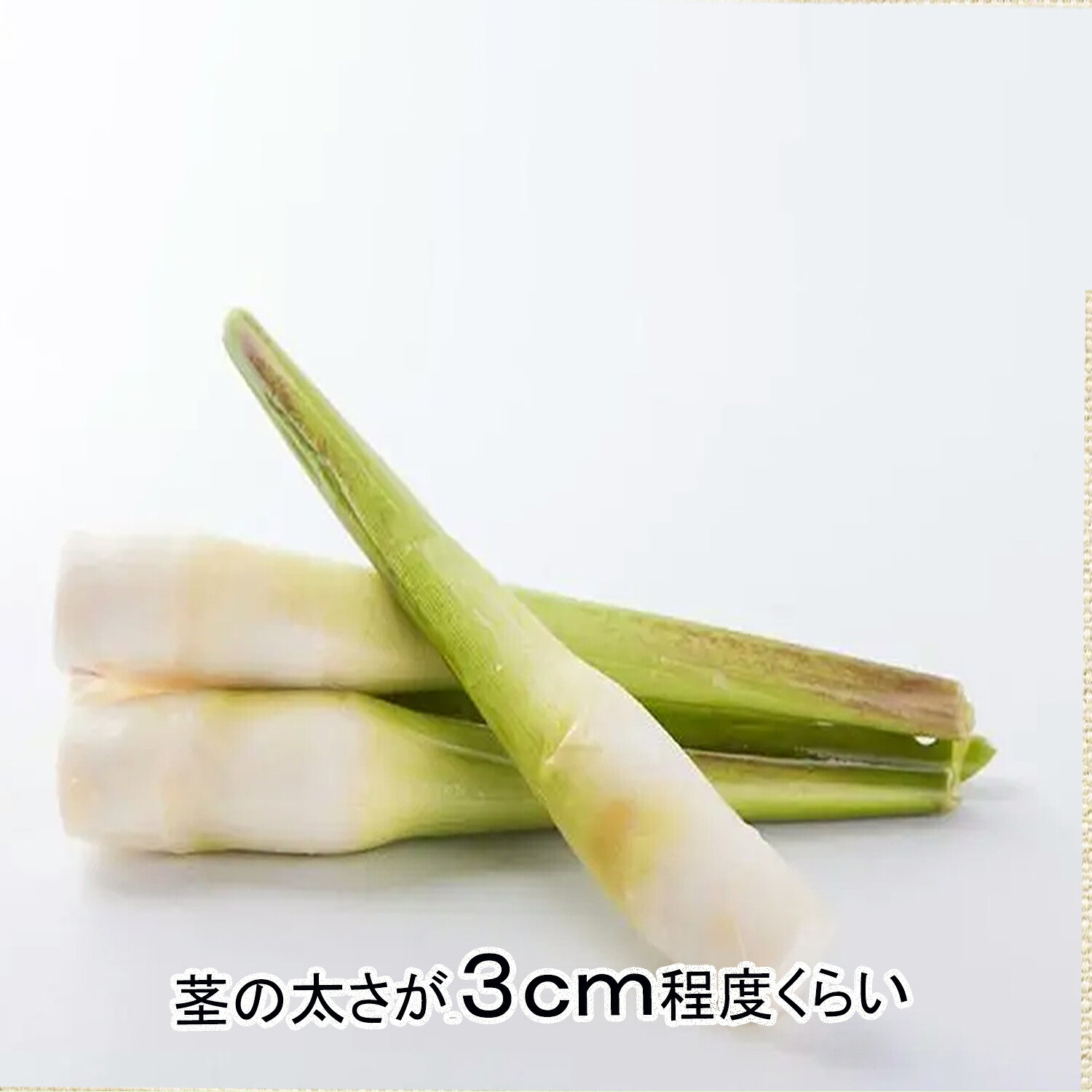 マコモダケ マコモ マコモ茸 中国産 まこも茸 真菰筍 冷蔵便で発送 蒸し 炒め そのままオーブントースターでも美味しい 調理簡単のサムネイル