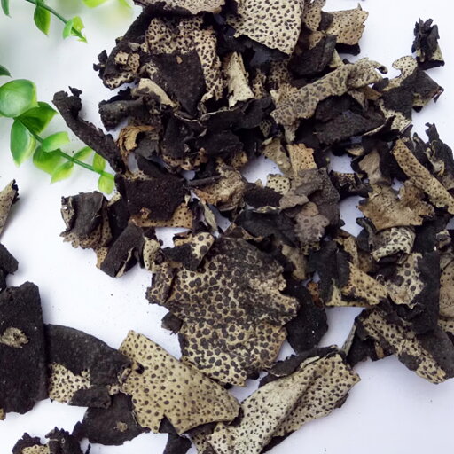 天然 乾燥 岩茸 イワタケ 50g いわたけ 天日干し 山の珍味 高級山菜 精進料理 地衣類 低カロリー 食物繊維が豊富 高級食材 薬膳 煮物 吸い物に最適 天然 乾燥 岩茸 イワタケ 50g いわたけ 天日干し 山の珍味 高級山菜 精進料理 地衣類 低カロリー 食物繊維が豊富 高級食材 薬膳 煮物 吸い物に最適