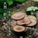 天然香茸 コウタケ 香茸 50g 天然きのこ サイズ不揃い 雲南産 こうたけ 鹿茸 椎茸 獅子茸 イノハナ 虎掌菌 高級茸 2