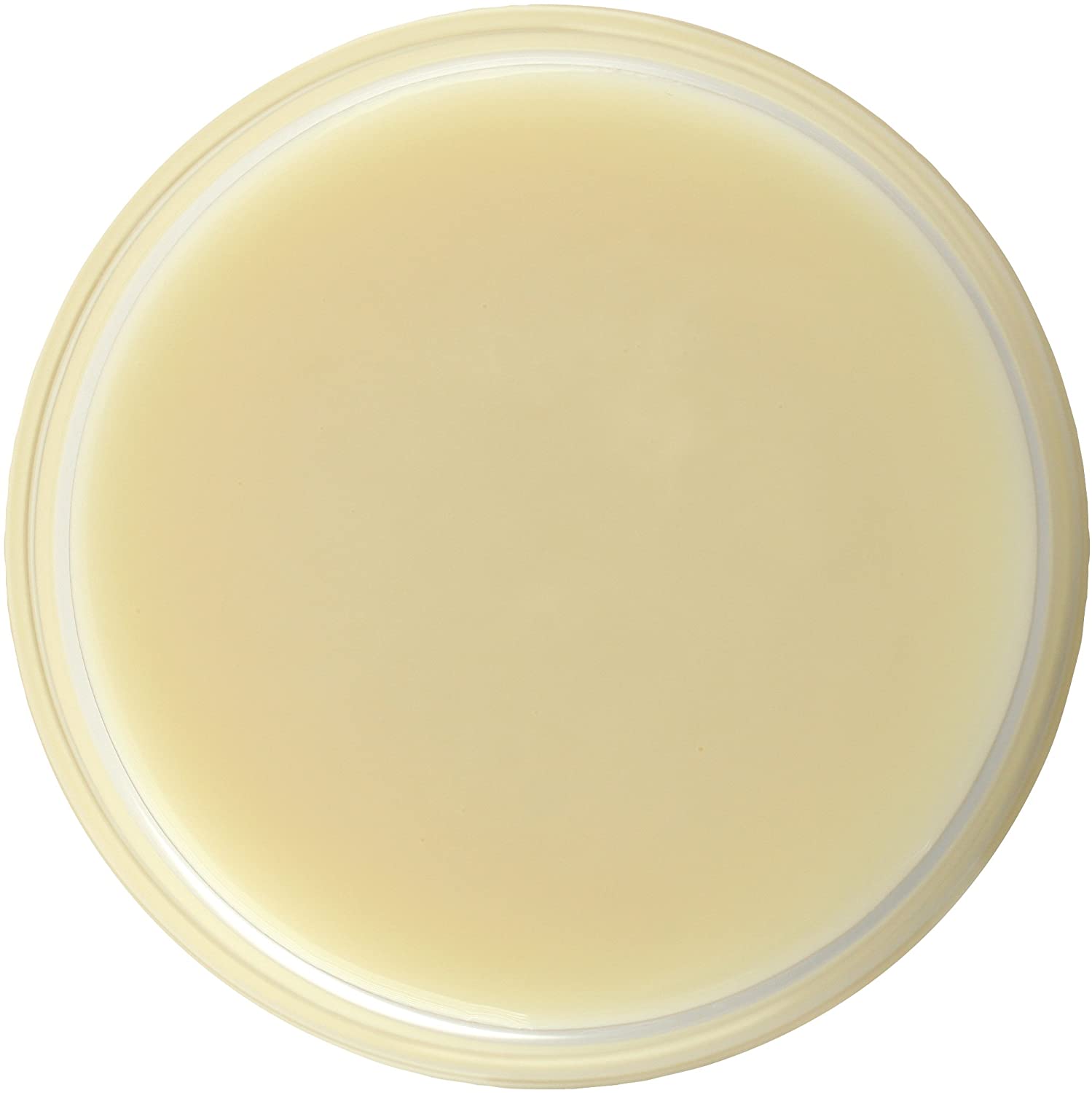 ����ǥ󥹥ߥ륯 480g �ĥ��� �������� ���� �ߥ륯 ���塼�֥�����