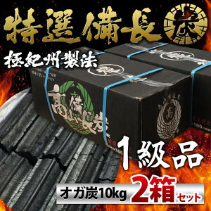 たかやま 仙台牛タンの名店が使用！一級品 オガ炭 20kg (10kg×2個) インドネシア産 長時間燃焼 オガ 備長炭 山