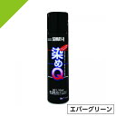 染めQ ミニ染めQ エアゾール 70ml エバーグリーン 速乾 DIY 補修 革 布 金属 木材 プラスチック 染めQテクノロジー