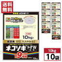 【まとめ買い】レインボー薬品 ネコソギトップW 粒剤 10kg×10袋　粒剤除草剤 長期持続型 土壌処理型 非農耕地用